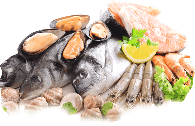 Introduction to Restaurant – where taste meets tradition