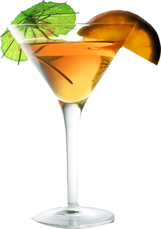 Restaurant intro – showcasing flavors, ambiance, and service