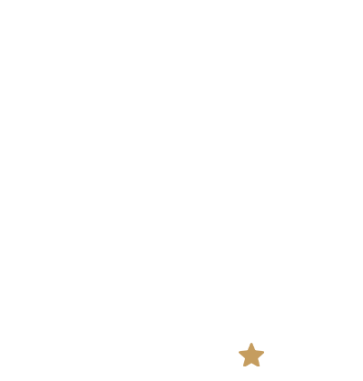 Restaurant intro – showcasing flavors, ambiance, and service